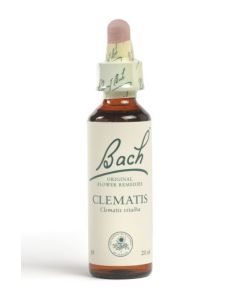 Bach Clematis 20ml